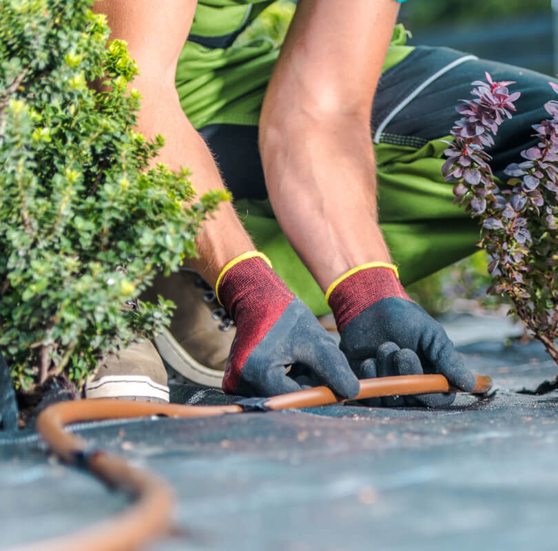 Irrigation Specialists