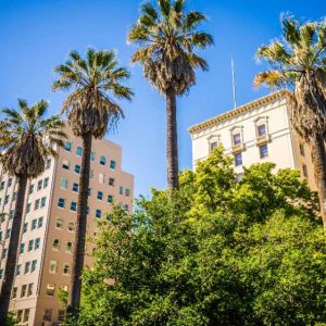 Mastering Defensible Space: Compliance Strategies for Commercial Properties in Sacramento County